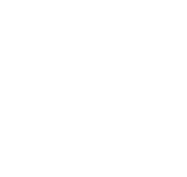 Alimentación de materia prima